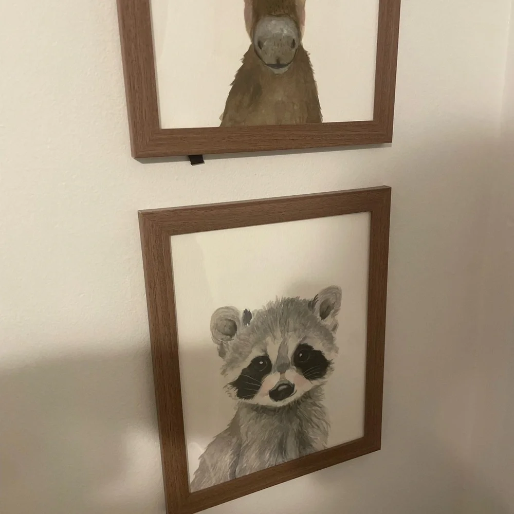 Set of 8 Framed Baby Animal Art Prints
